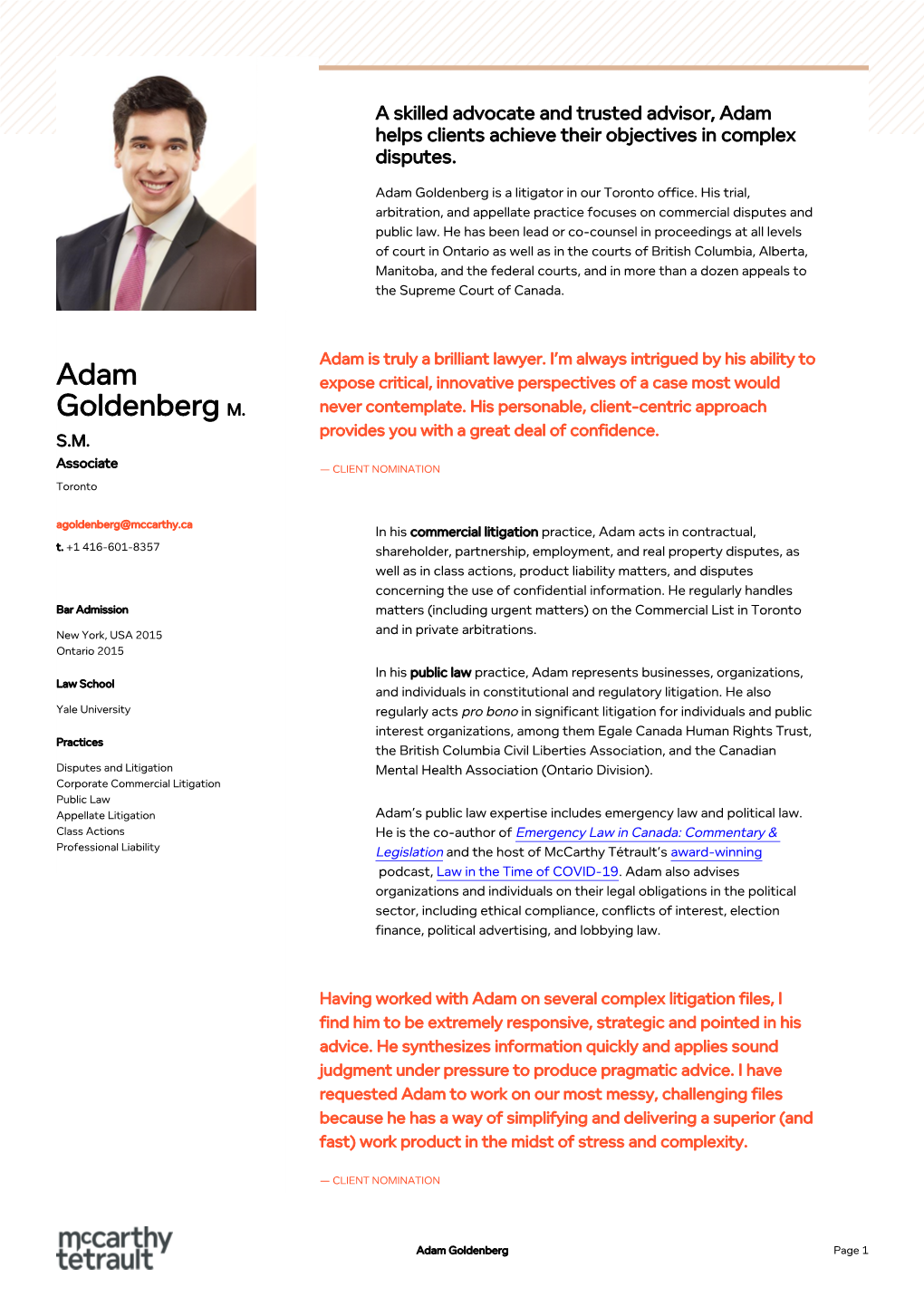 Adam Goldenberg Is a Litigator in Our Toronto Office