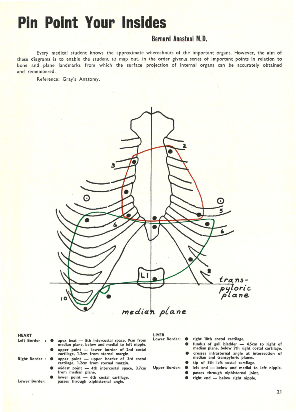 Pin Point Your Insides Bernard Anastasi M