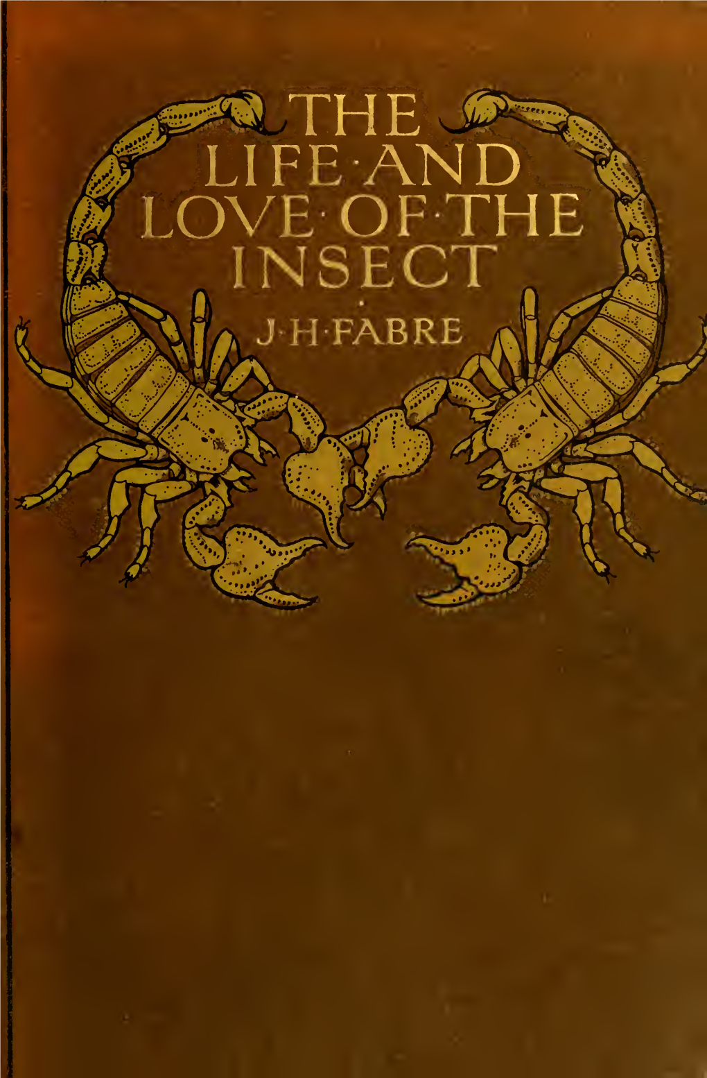 THE LIFE and LOVE of the INSECT AGFA'ts /MEKICA the MACMILLAN COMPANY 64 & 66 Fifth Avenue, New YORK