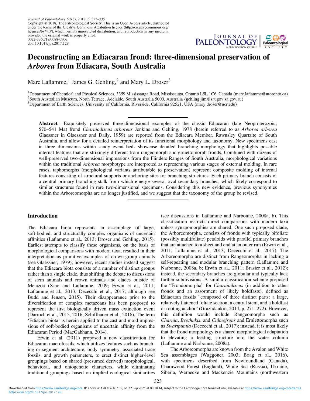 Deconstructing an Ediacaran Frond: Three-Dimensional Preservation of Arborea from Ediacara, South Australia