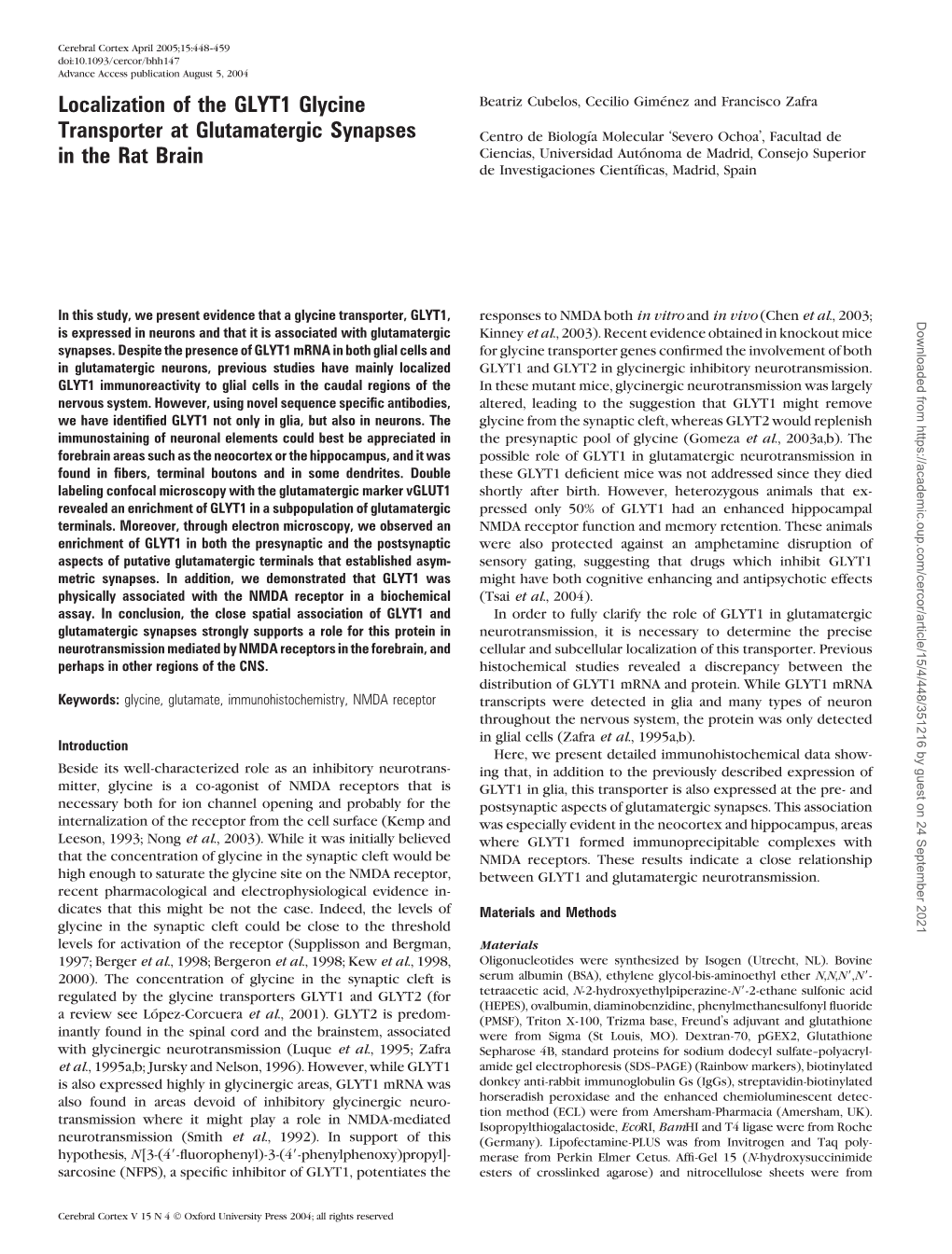 Localization of the GLYT1 Glycine Transporter at Glutamatergic Synapses in the Rat Brain