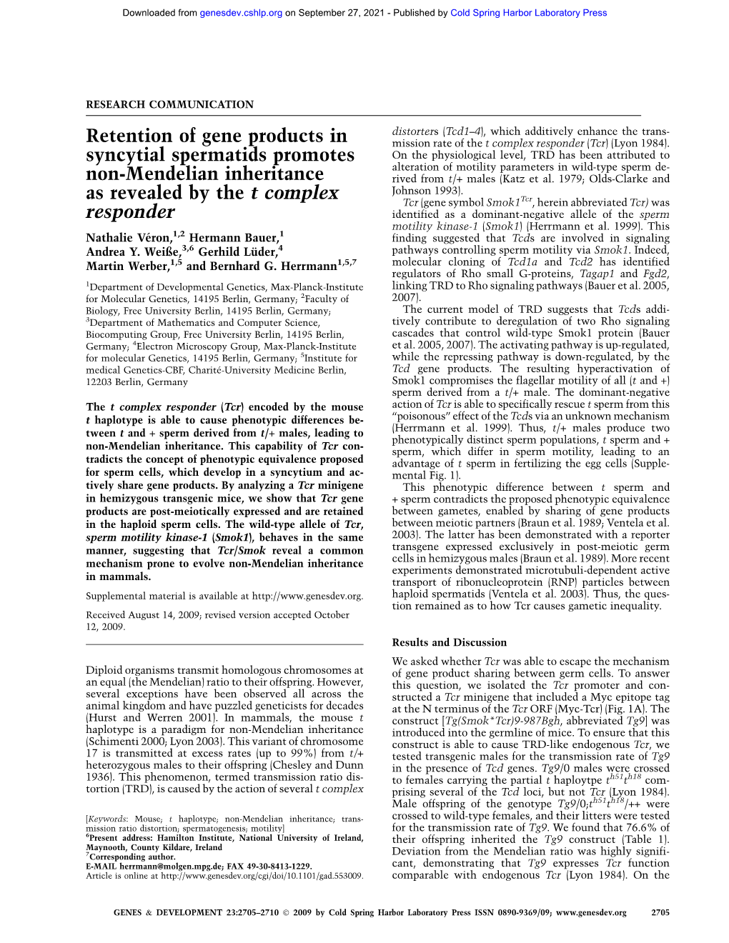 Retention of Gene Products in Syncytial Spermatids Promotes Non-Mendelian Inheritance As Revealed by the T Complex Responder