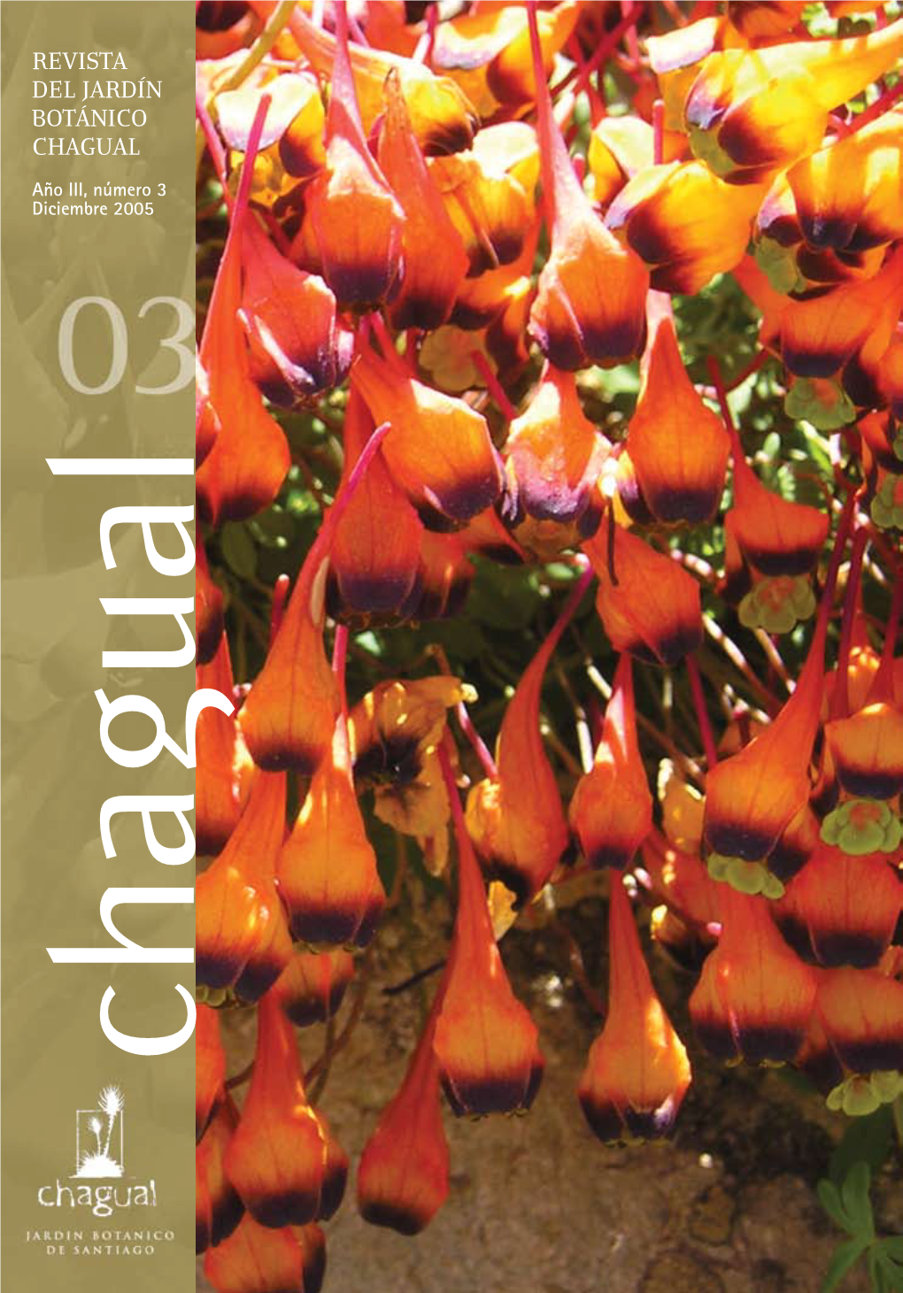 Tropaeolum: Notas Sobre El Cultivo De Algunas Especies Chilenas Detalle De Tropaeolum Tricolor / Graham Buchanan-Dunlop 29 (Ma Victoria Legassa)