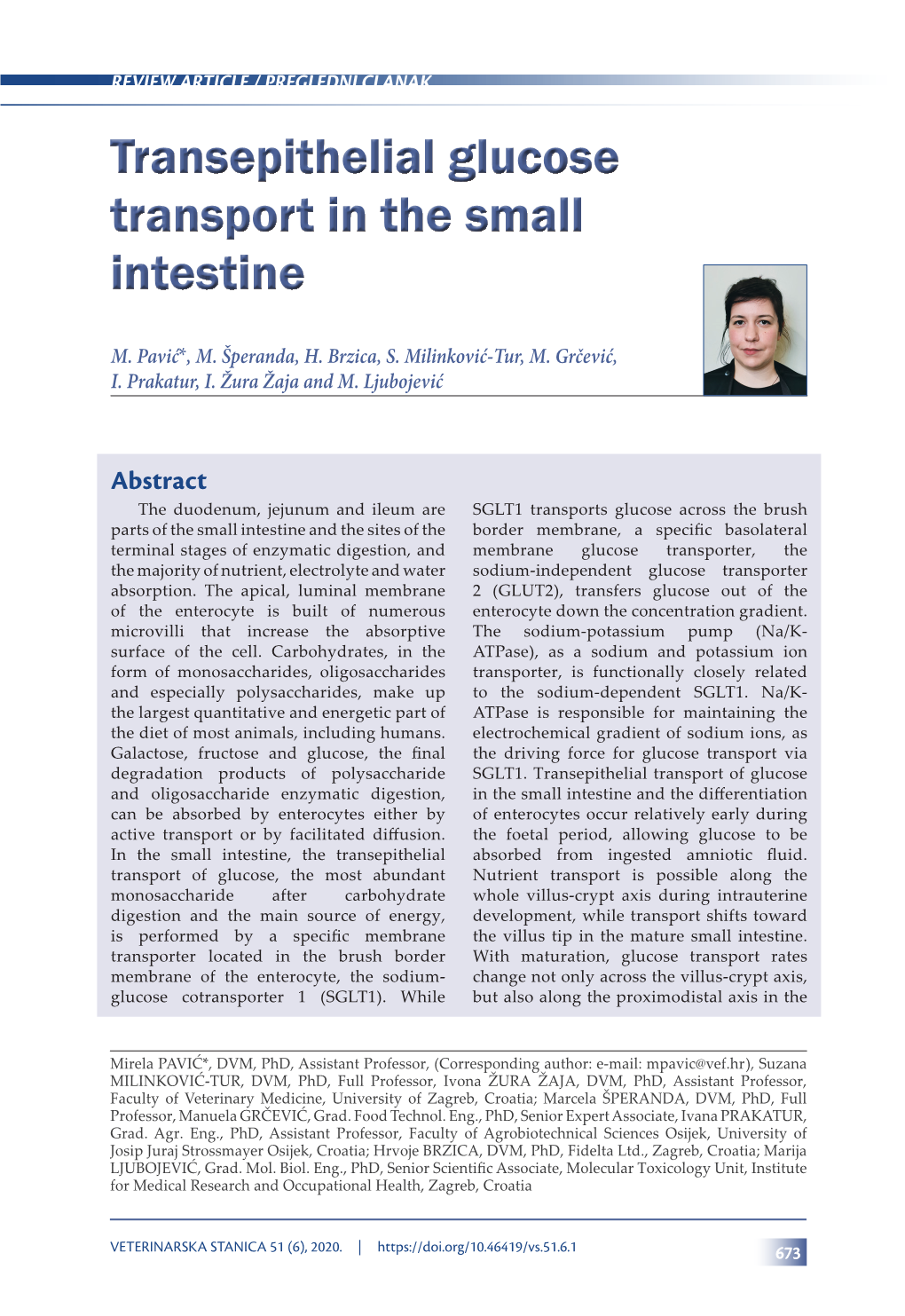 Transepithelial Glucose Transport in the Small Intestine Transepithelial