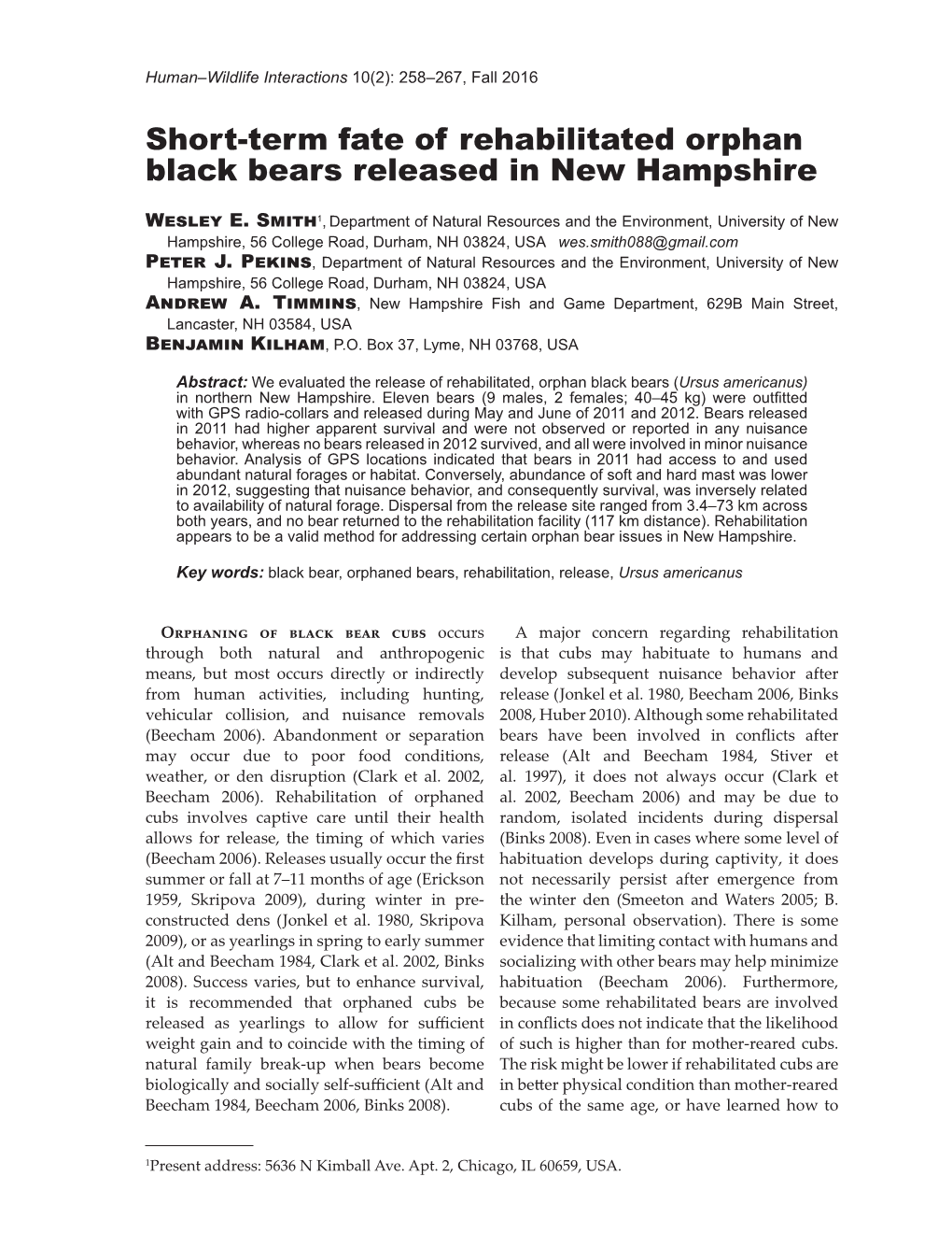 Short-Term Fate of Rehabilitated Orphan Black Bears Released in New Hampshire