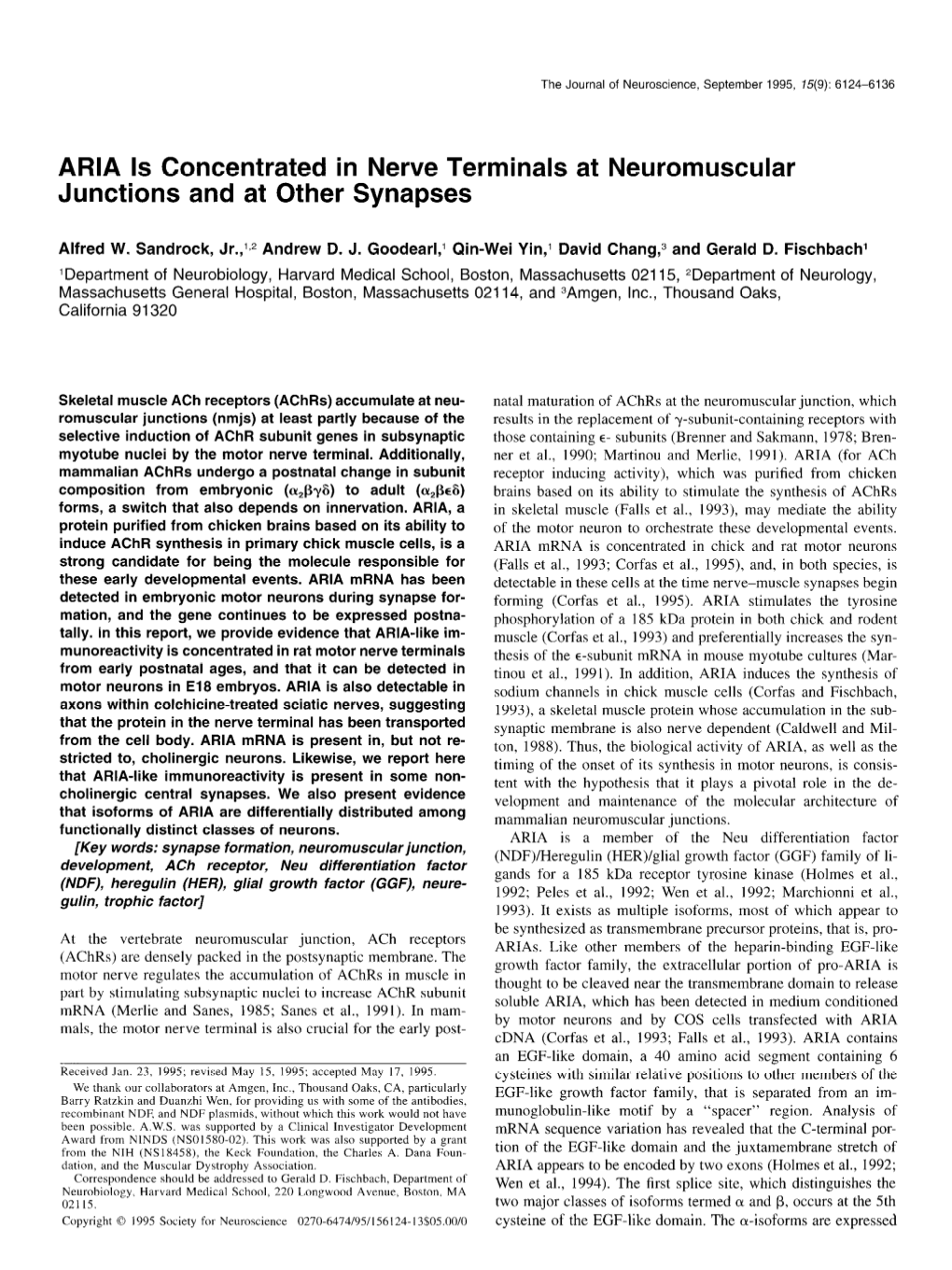 ARIA Is Concentrated in Nerve Terminals at Neuromuscular Junctions and at Other Synapses