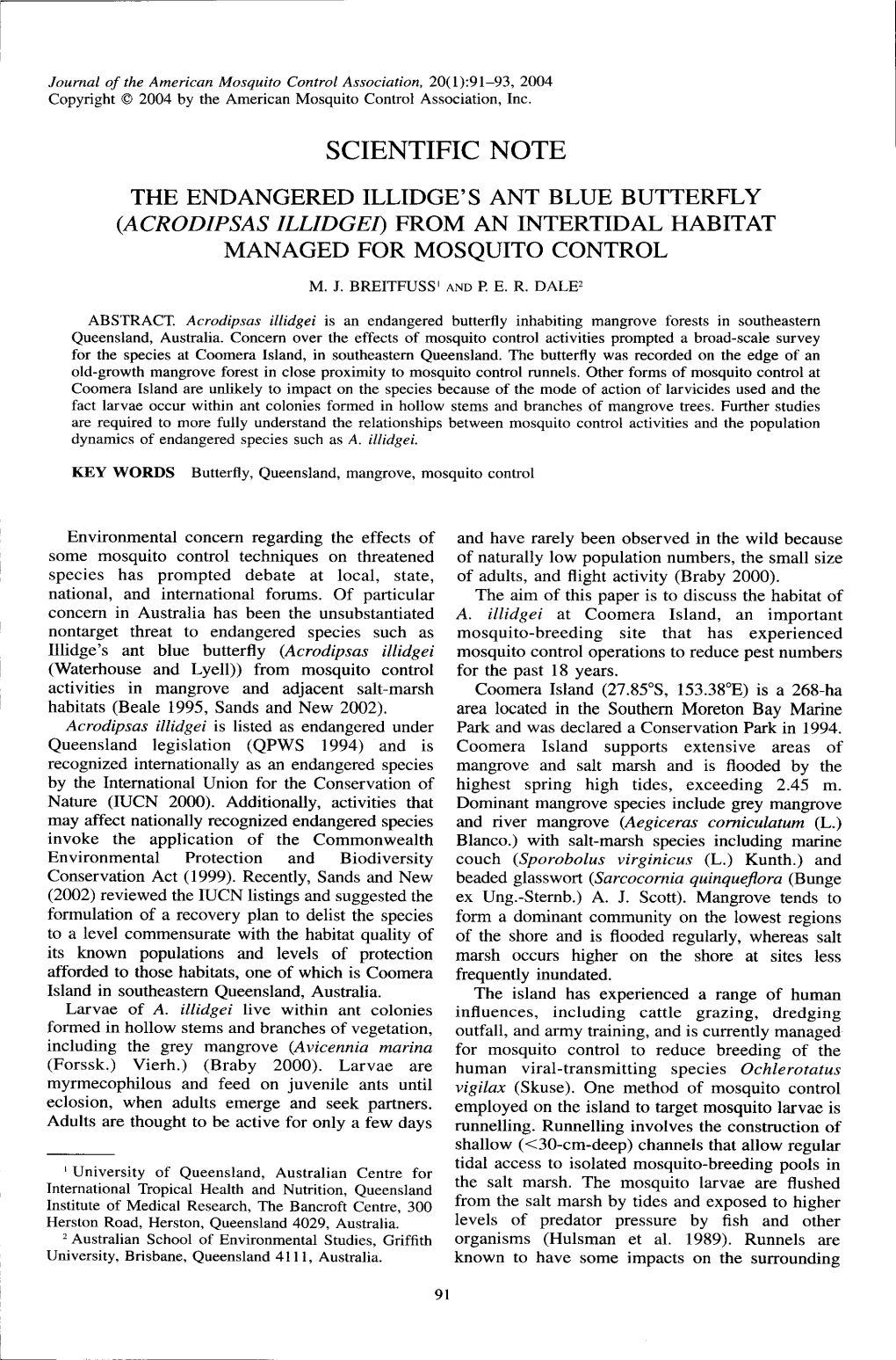 Scientific Note the Endangered Illidge's Ant Blue Butterfly (Acrodipsasillidgeo from an Intertidal Habitat Managed for Mosquito Control