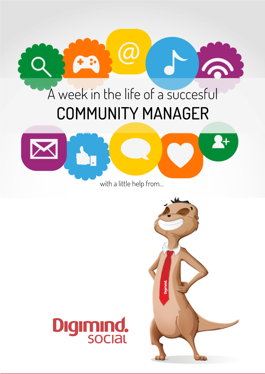 Community Manager