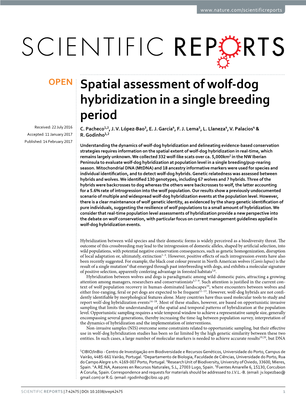 Spatial Assessment of Wolf-Dog Hybridization in a Single Breeding Period Received: 22 July 2016 C