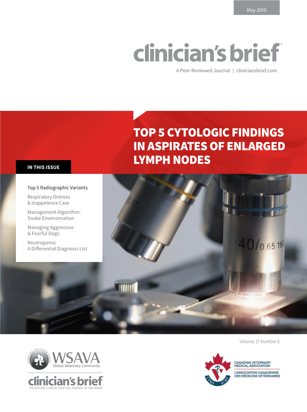 Top 5 Cytologic Findings in Aspirates of Enlarged