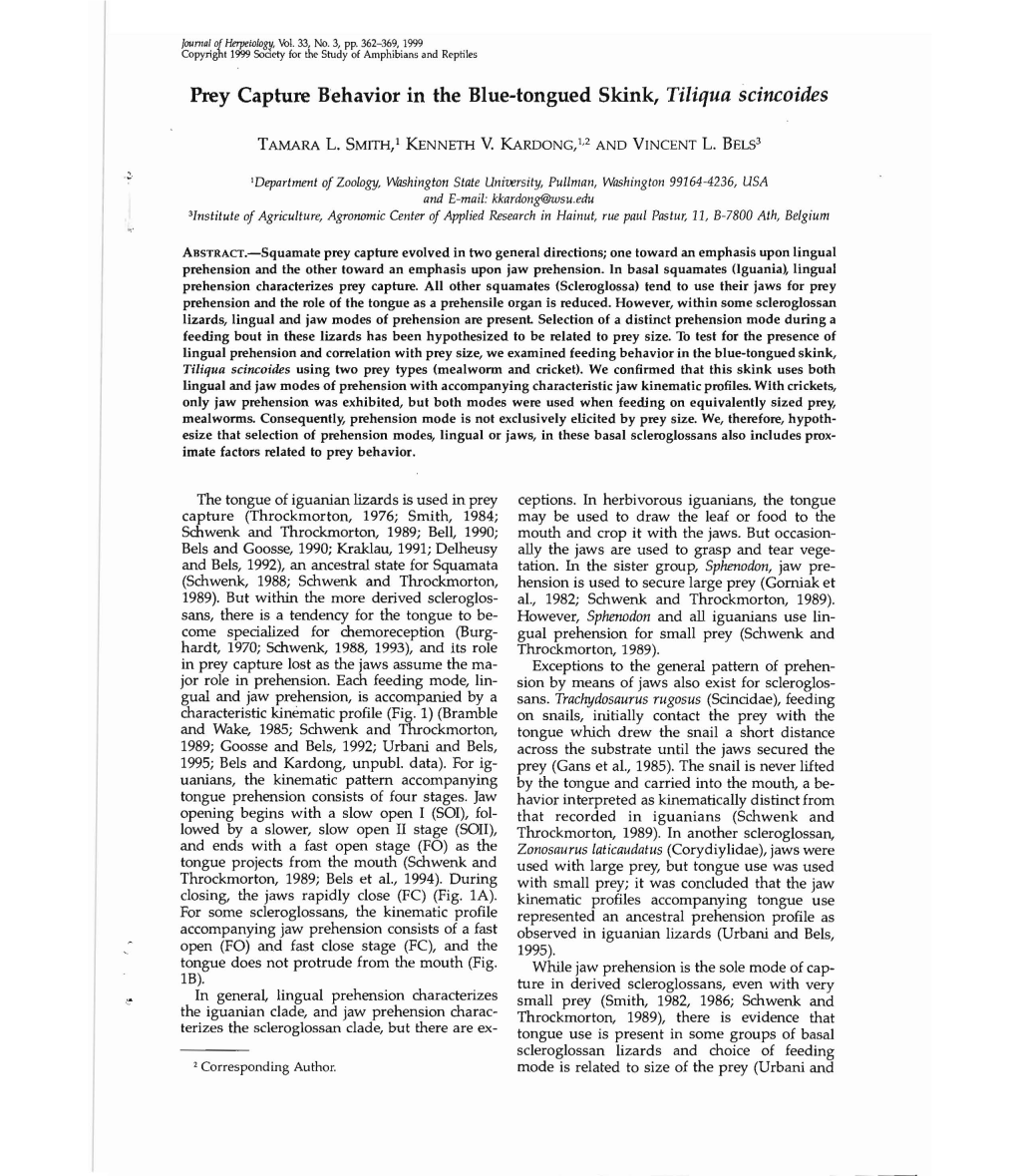 Prey Capture Behavior in the Blue-Tongued Skink, Tiliqua Scincoides