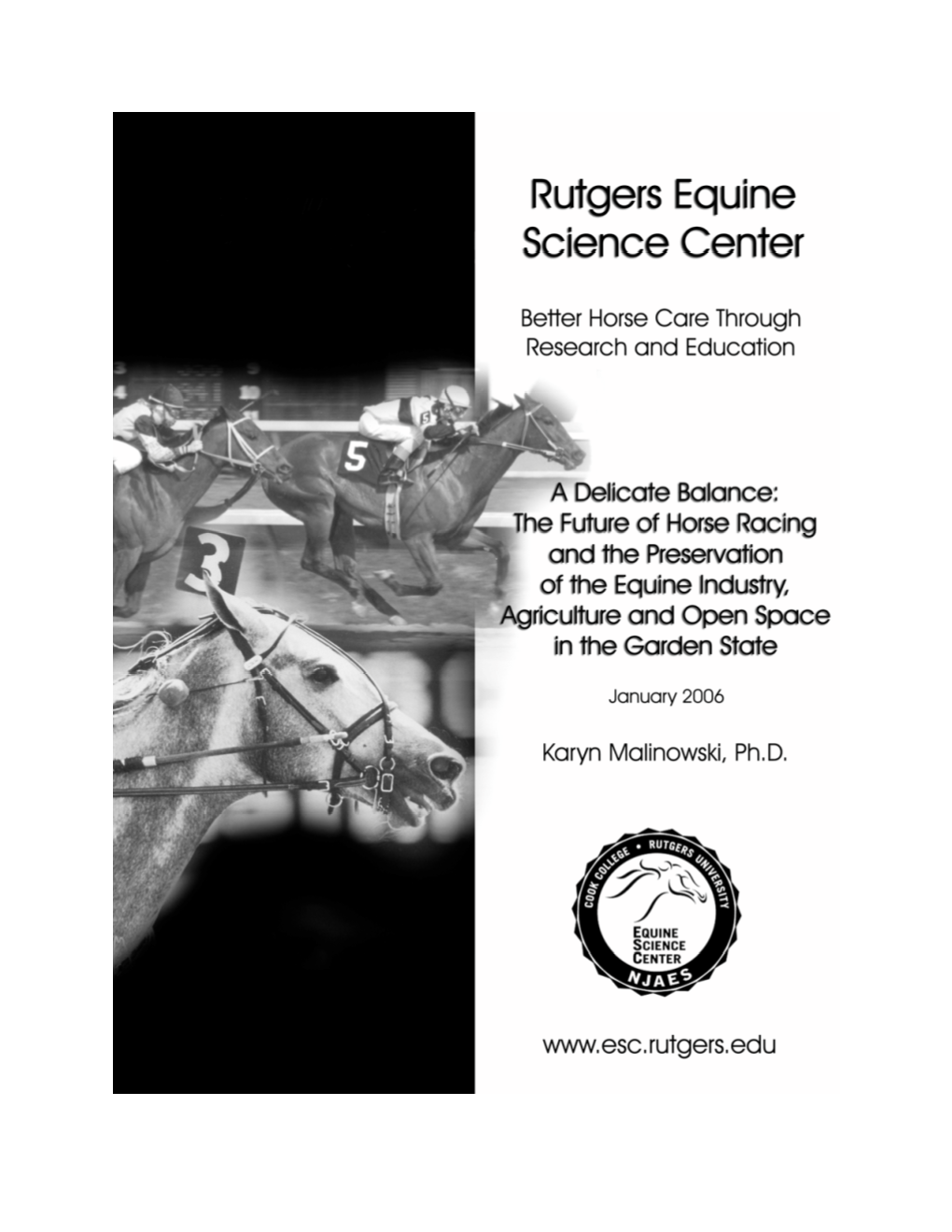 A Delicate Balance: the Future of Horse Racing and the Preservation of the Equine Industry, Agriculture and Open Space in the Garden State 1