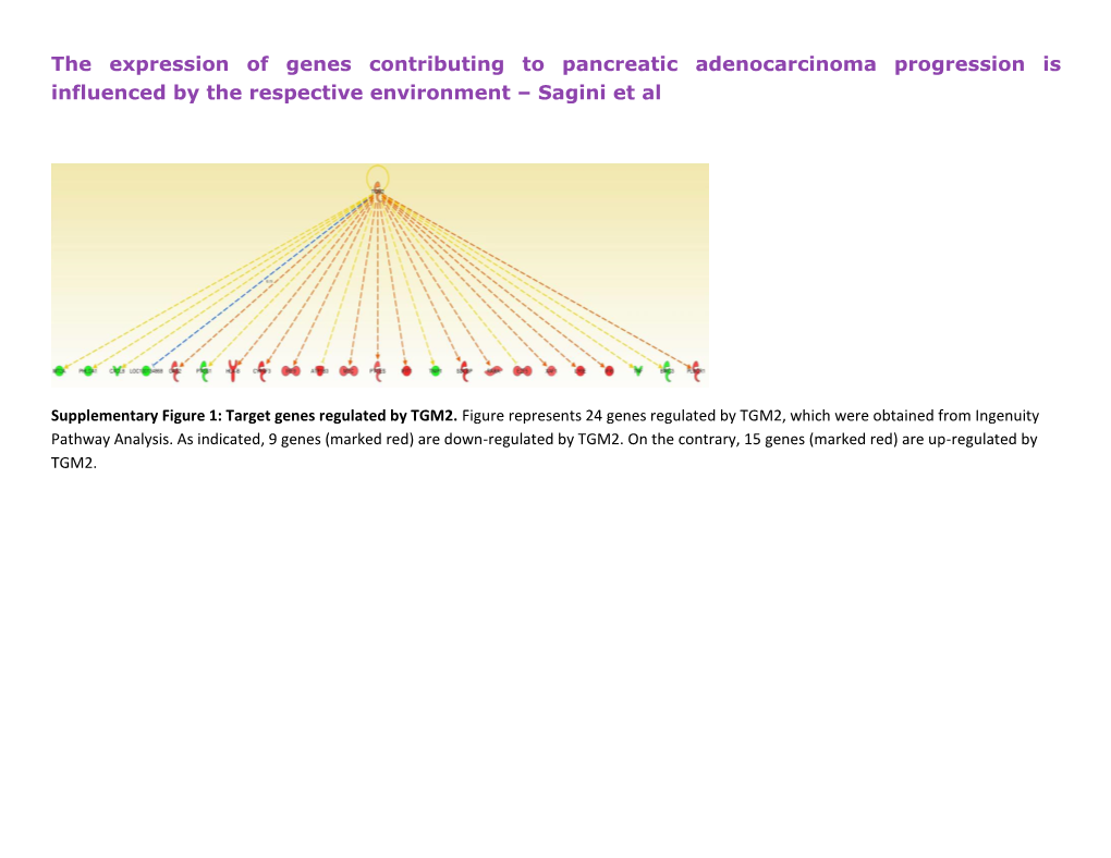 The Expression of Genes Contributing to Pancreatic Adenocarcinoma Progression Is Influenced by the Respective Environment – Sagini Et Al