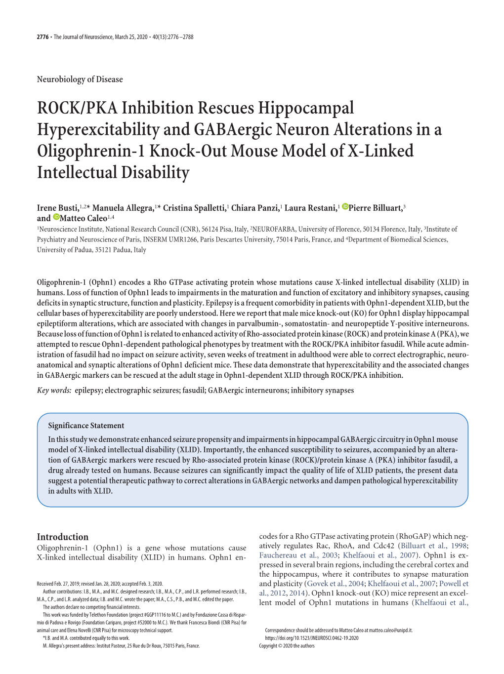 ROCK/PKA Inhibition Rescues Hippocampal Hyperexcitability And