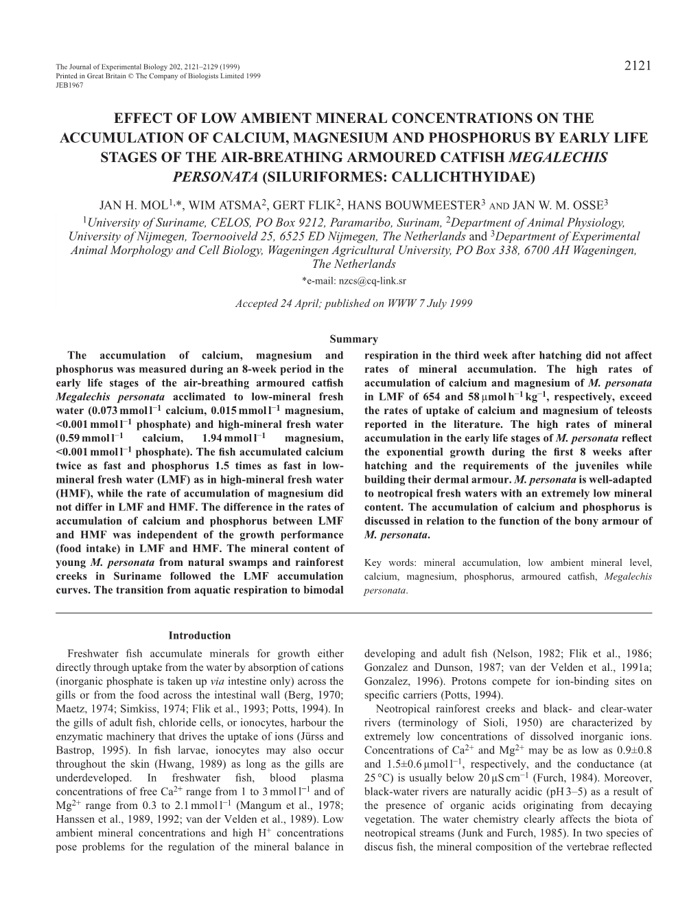 Mineral Accumulation in the Catfish Megalechis Personata