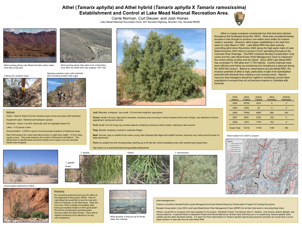 (Tamarix Aphylla) and Athel Hybrid (Tamarix Aphylla X Tamarix Ramosissima) Establishment and Control at Lake Mead National Recreation Area