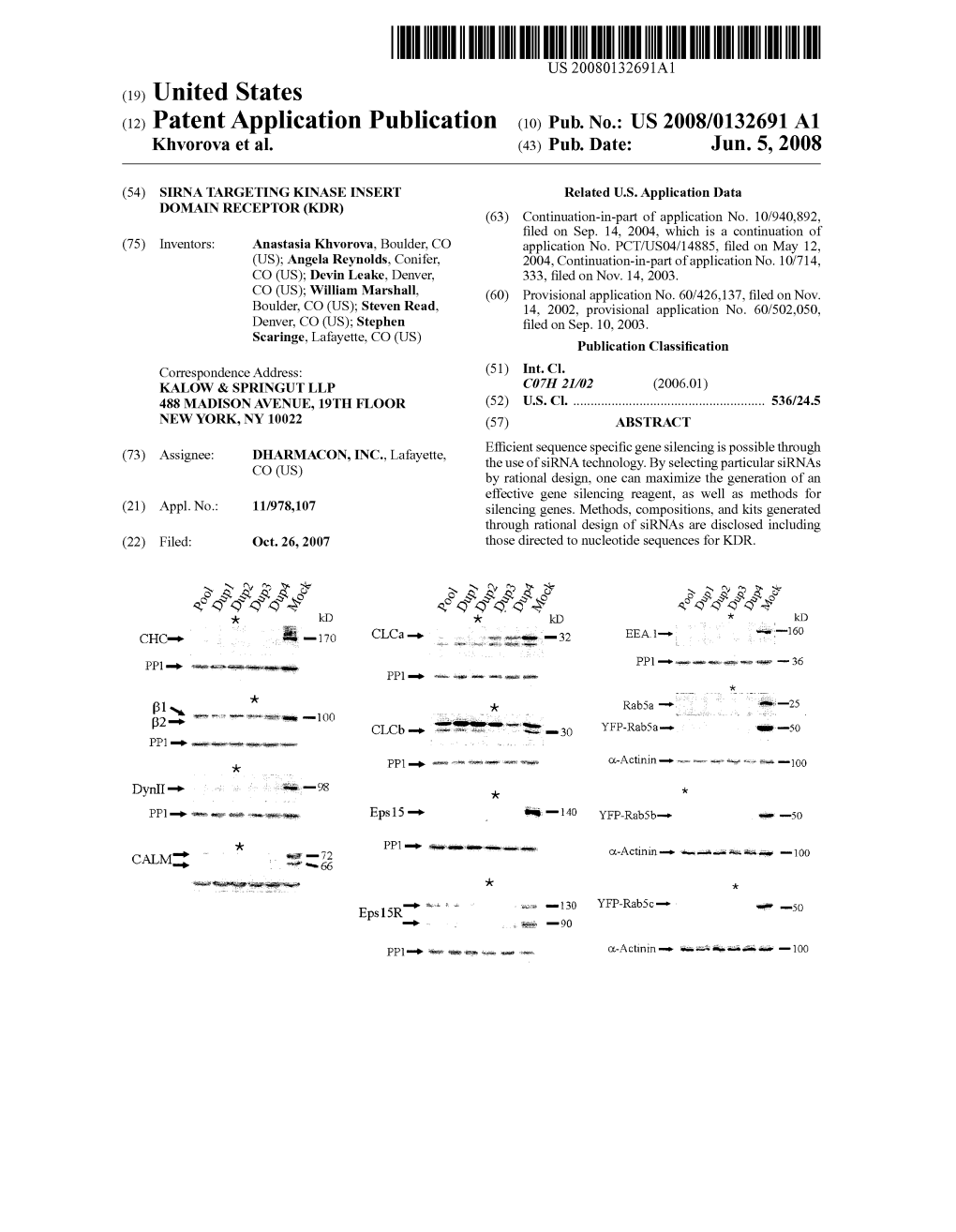 (12) Patent Application Publication (10) Pub. No.: US 2008/0132691 A1 Khvorova Et Al