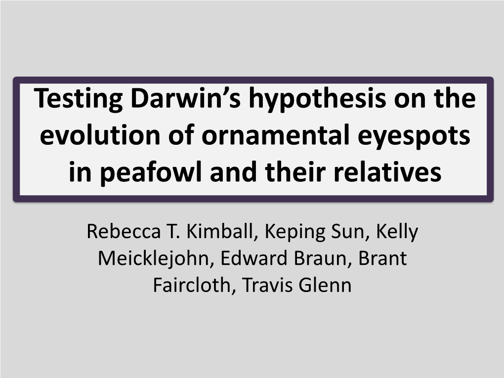 Testing Darwin's Hypothesis on the Evolution of Ornamental Eyespots In