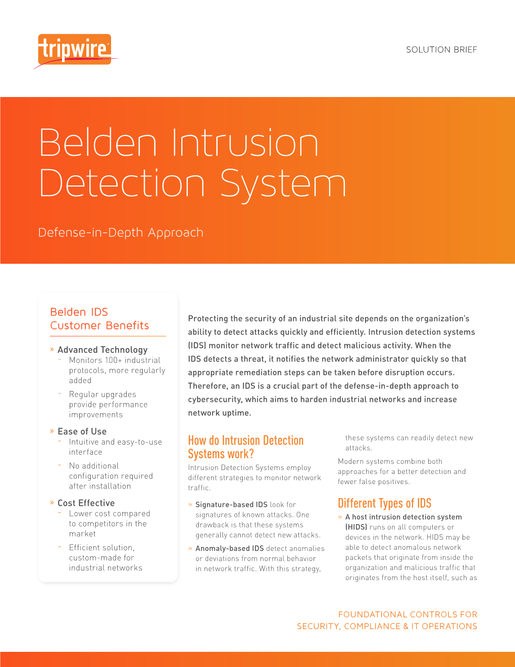 Belden Intrusion Detection System