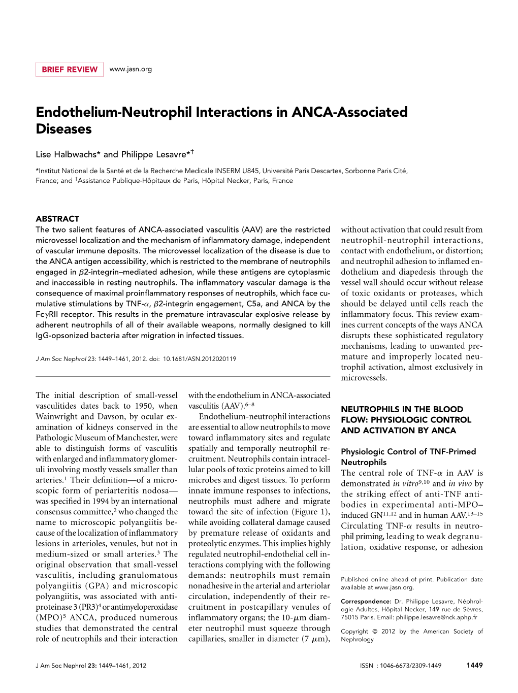 Endothelium-Neutrophil Interactions in ANCA-Associated Diseases