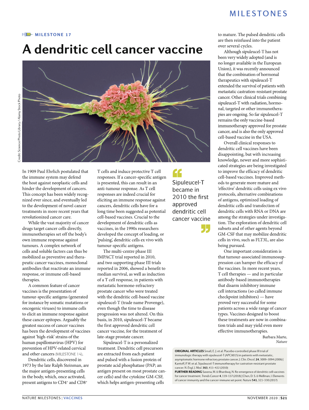 A Dendritic Cell Cancer Vaccine