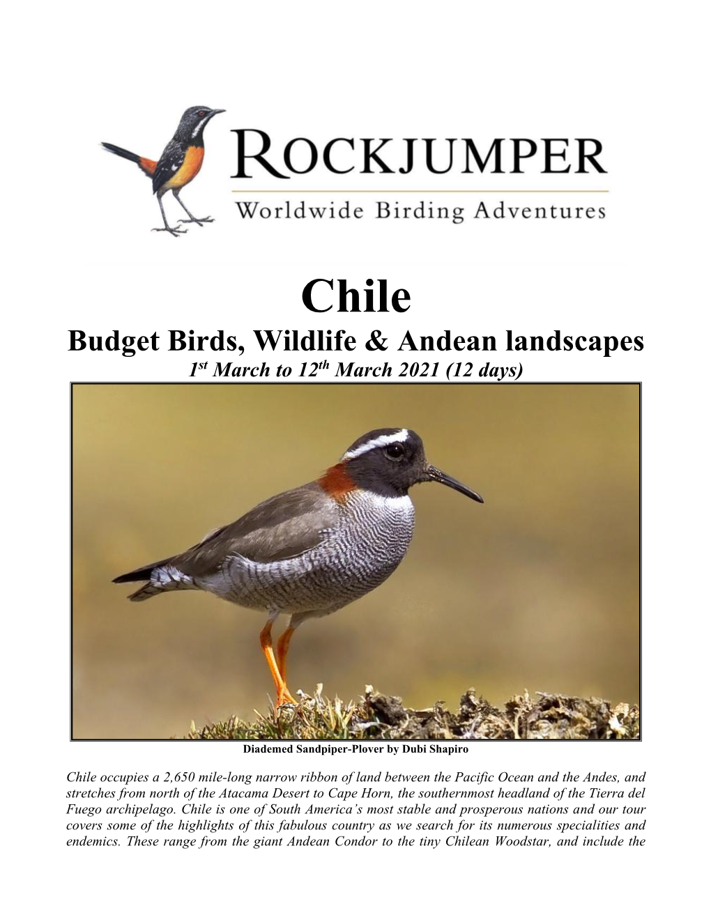 Budget Birds, Wildlife & Andean Landscapes