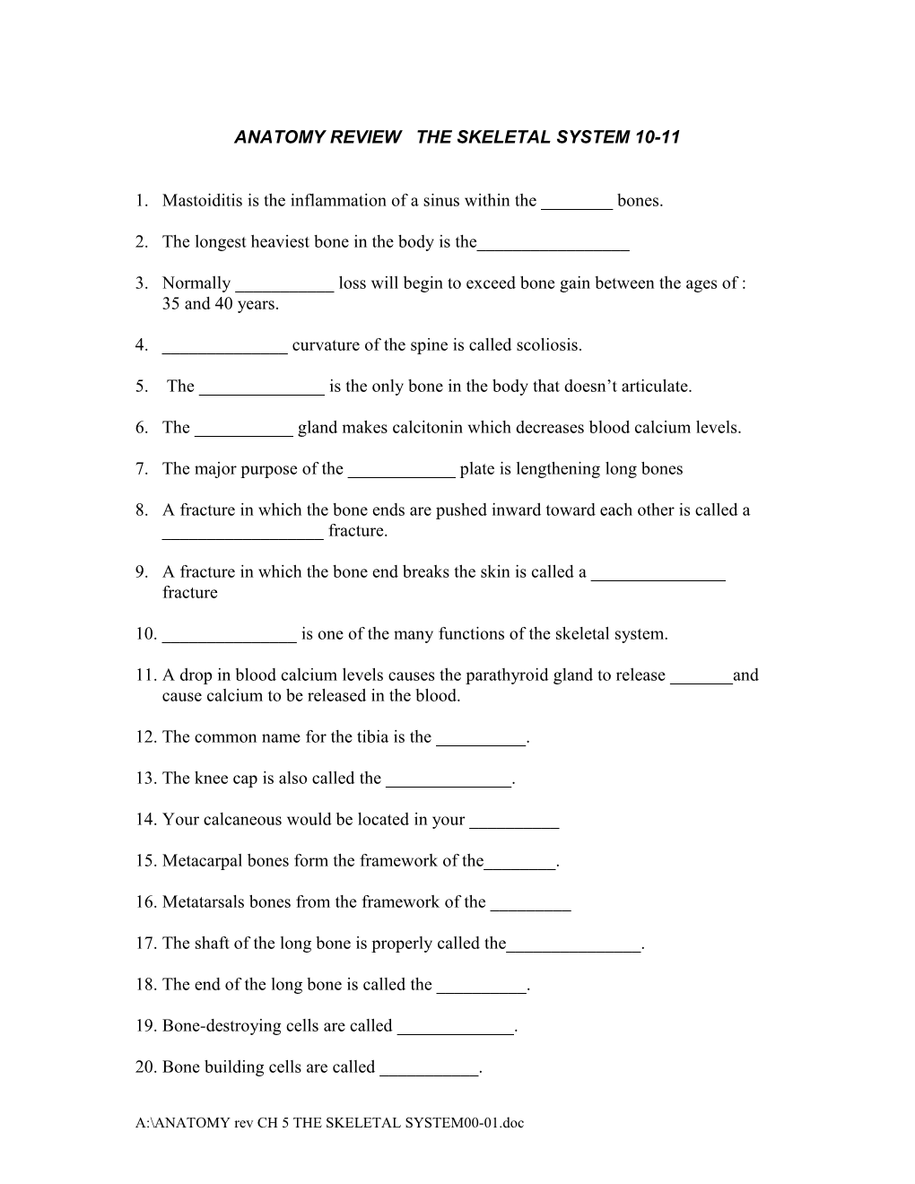 Anatomy Test Ch 5 the Skeletal System