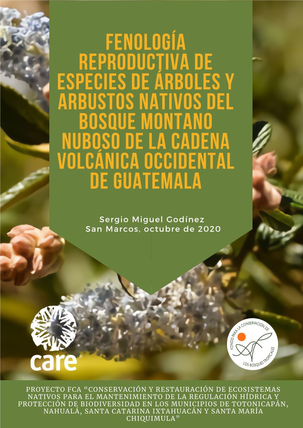 Fenología Reproductiva De Especies De Árboles Y Arbustos Nativos Del Bosque Montano Nuboso De La Cadena Volcánica Occidental De Guatemala