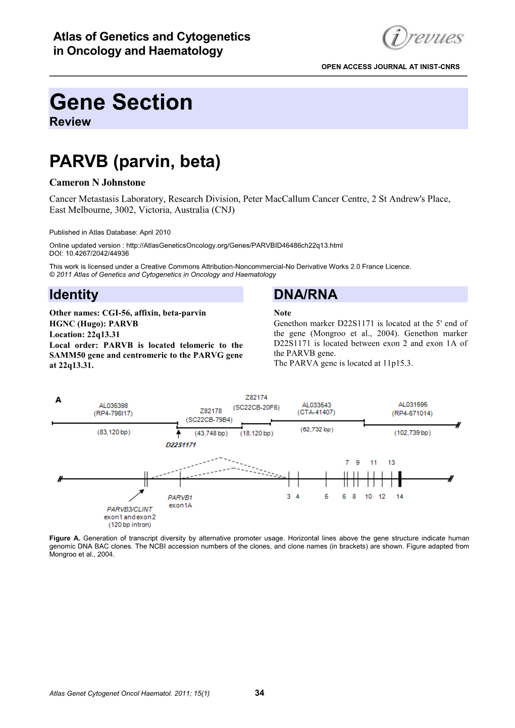 Gene Section Review