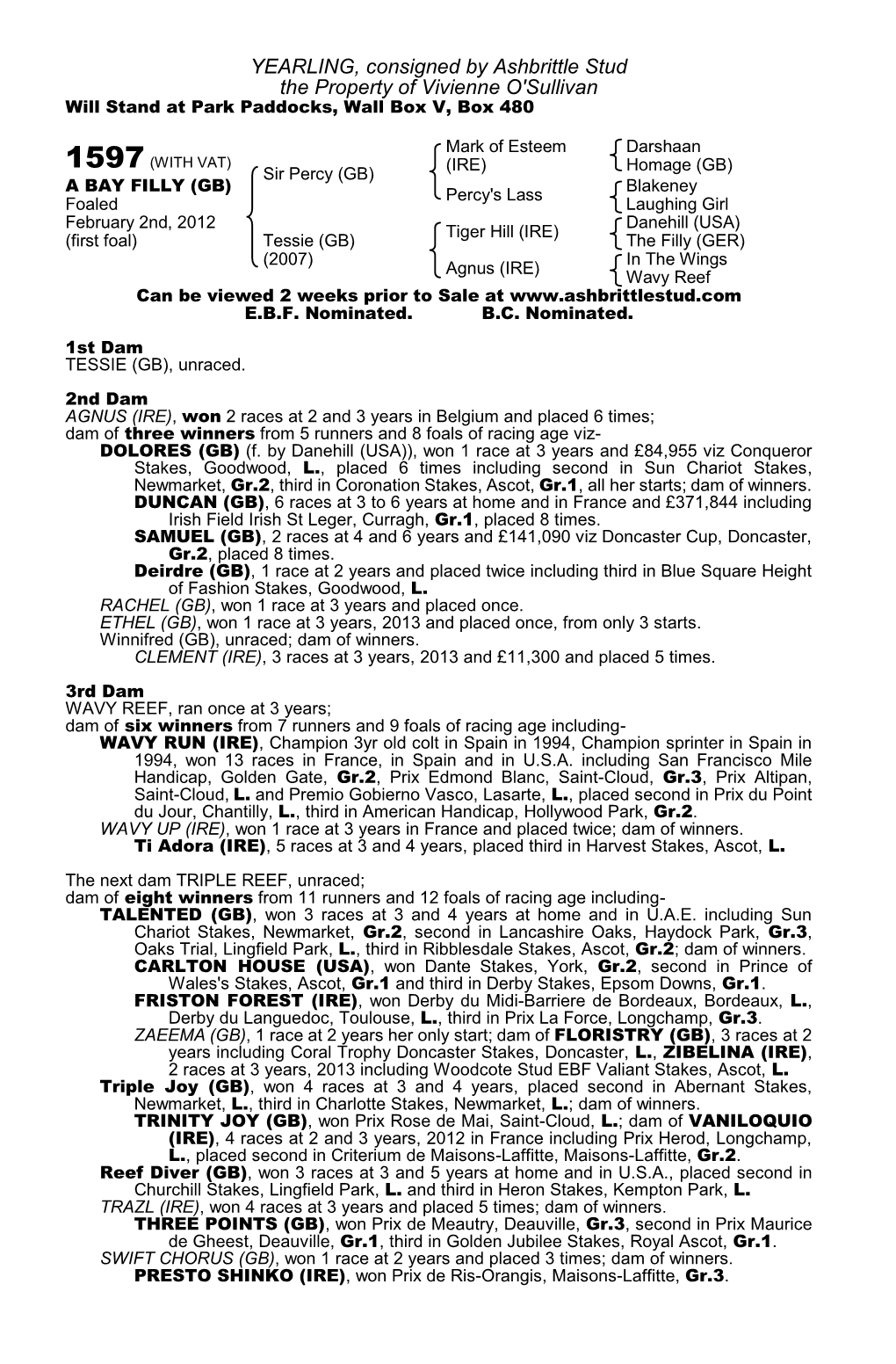 YEARLING, Consigned by Ashbrittle Stud the Property of Vivienne O'sullivan Will Stand at Park Paddocks, Wall Box V, Box 480