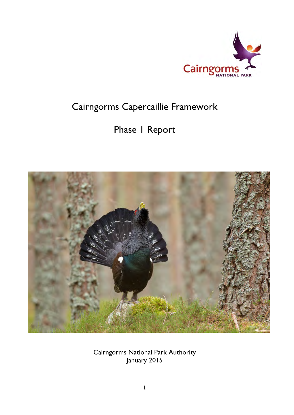 Capercaillie Framework