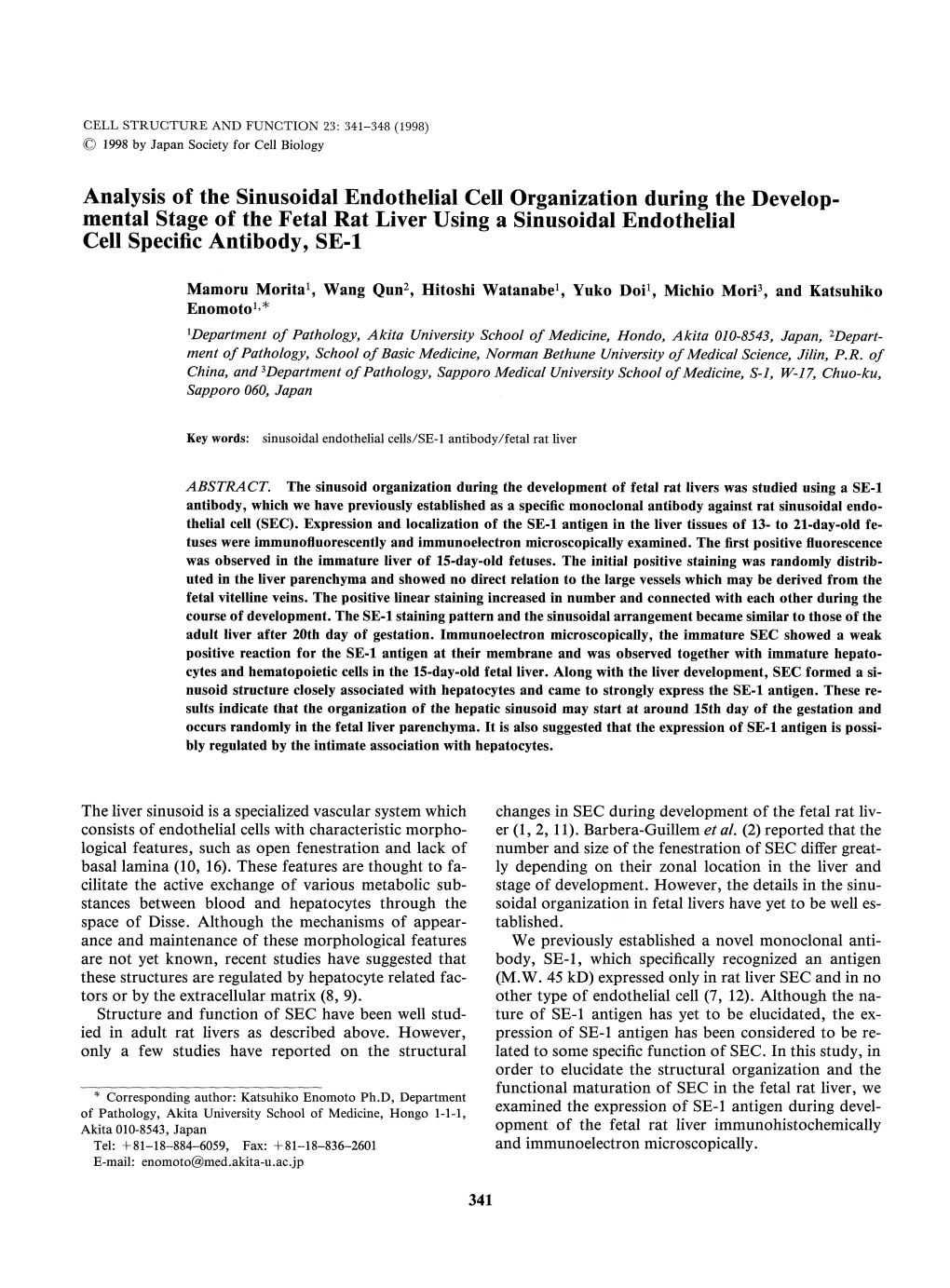 Analysis of the Sinusoidal Endothelial Cell Organization During The