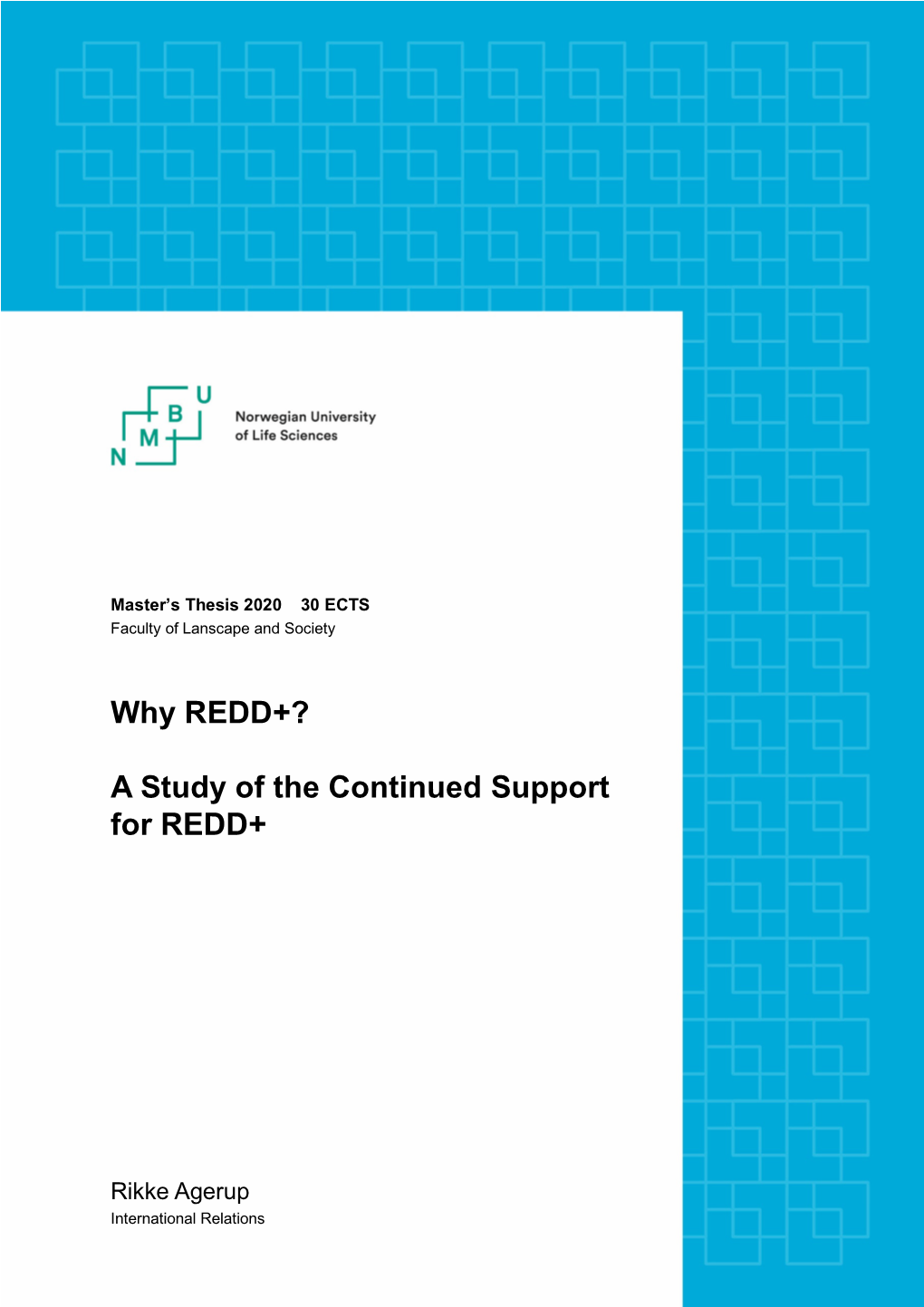 A Study of the Continued Support for REDD+