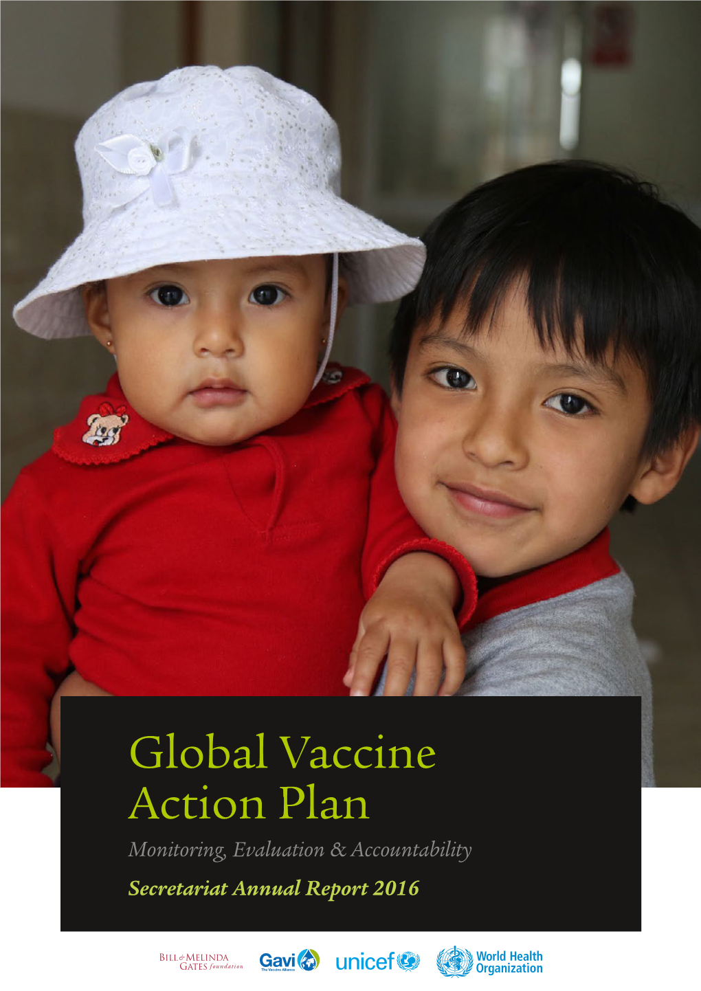 Global Vaccine Action Plan Monitoring, Evaluation & Accountability Secretariat Annual Report 2016 © World Health Organization 2016