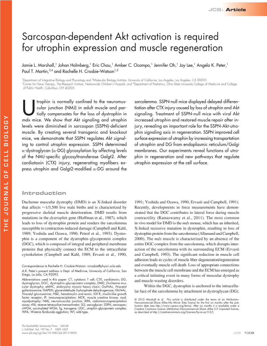 Sarcospan-Dependent Akt Activation Is Required for Utrophin Expression and Muscle Regeneration