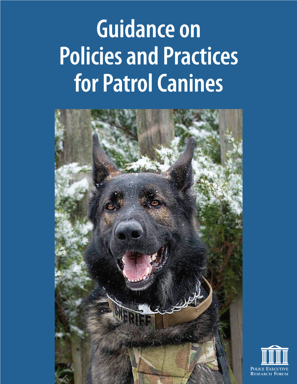 Guidance on Policies and Practices for Patrol Canines