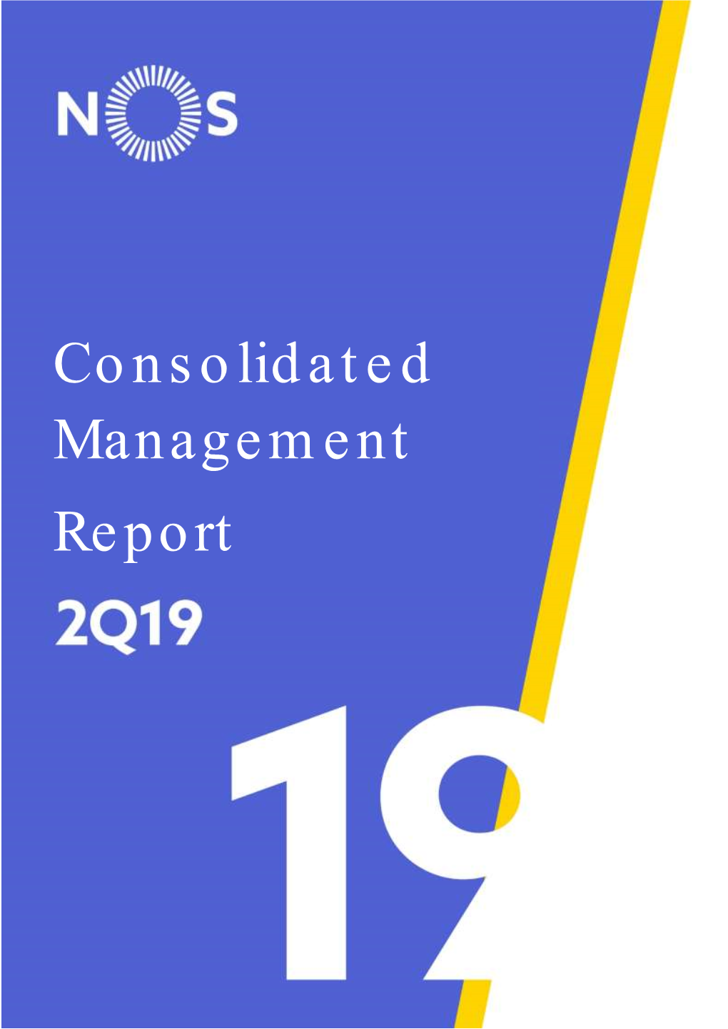 Consolidated Management Report