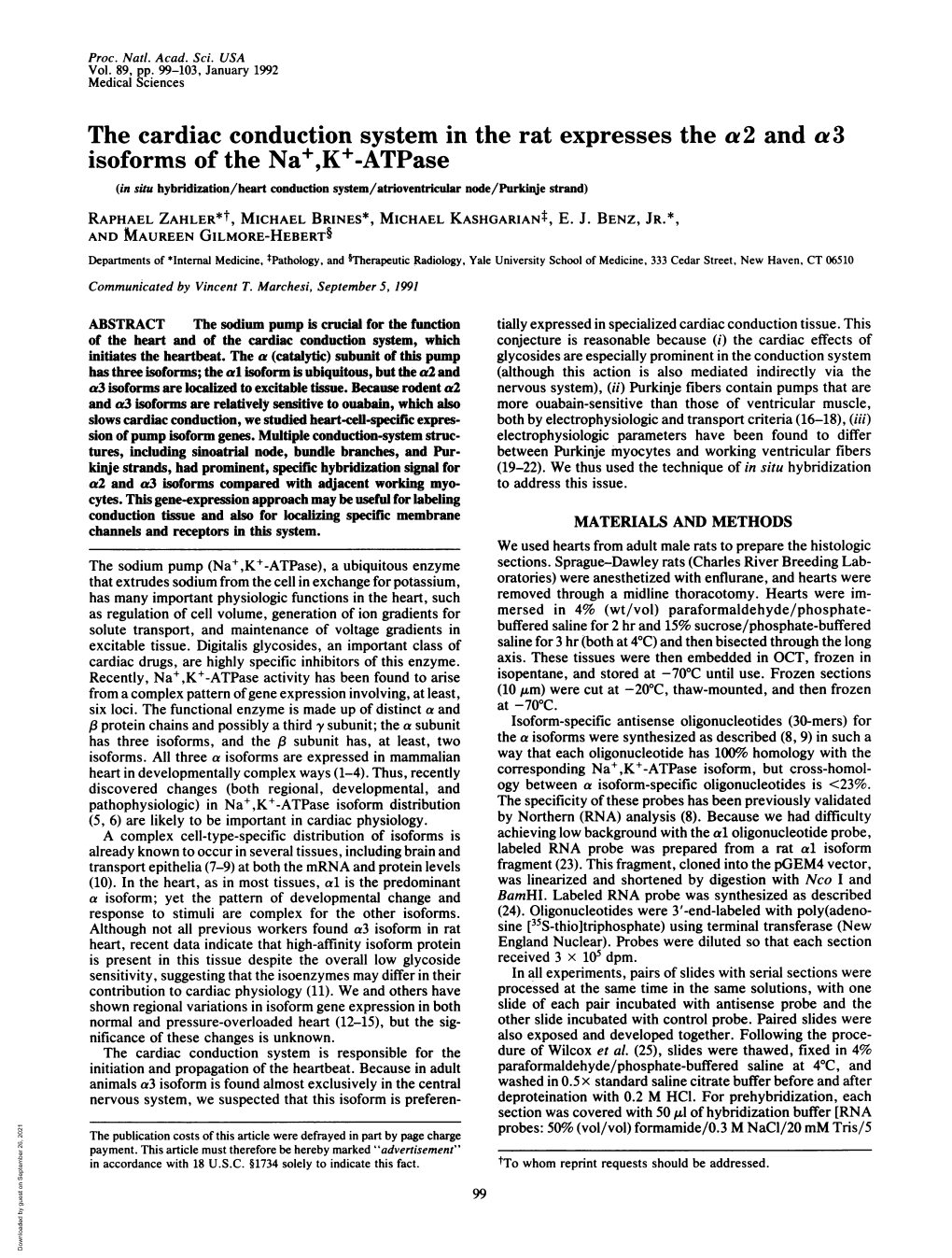 The Cardiac Conduction System in the Rat Expresses the A2 and A3