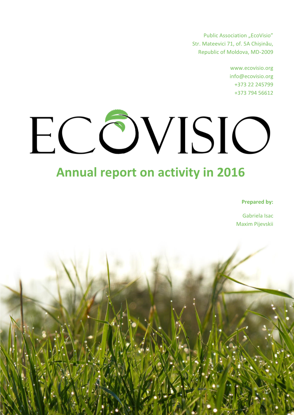 Annual Report on Activity in 2016