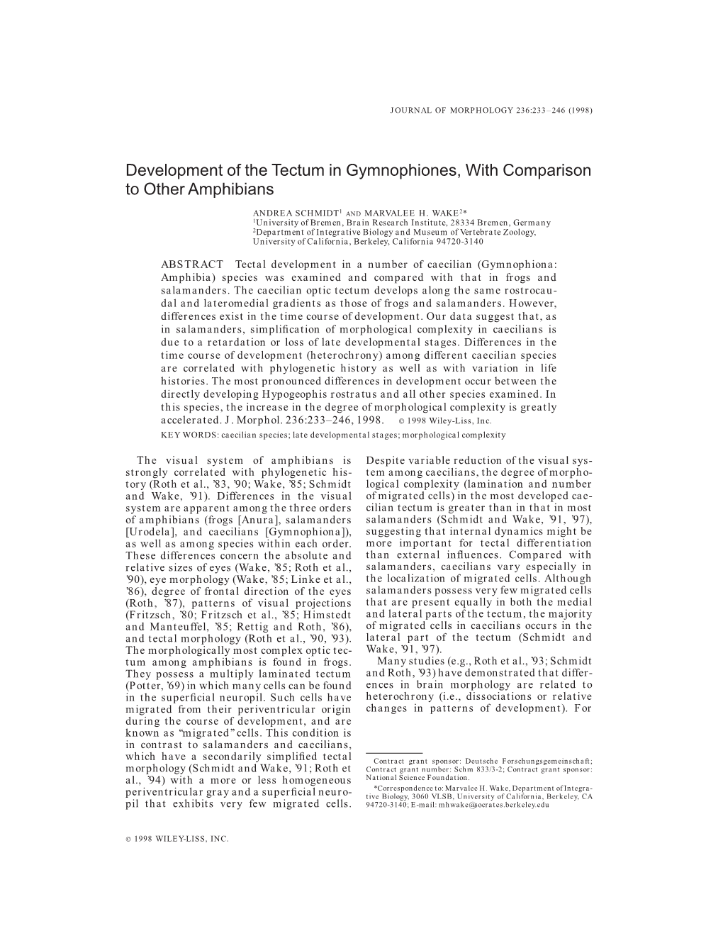 Development of the Tectum in Gymnophiones, with Comparison to Other Amphibians