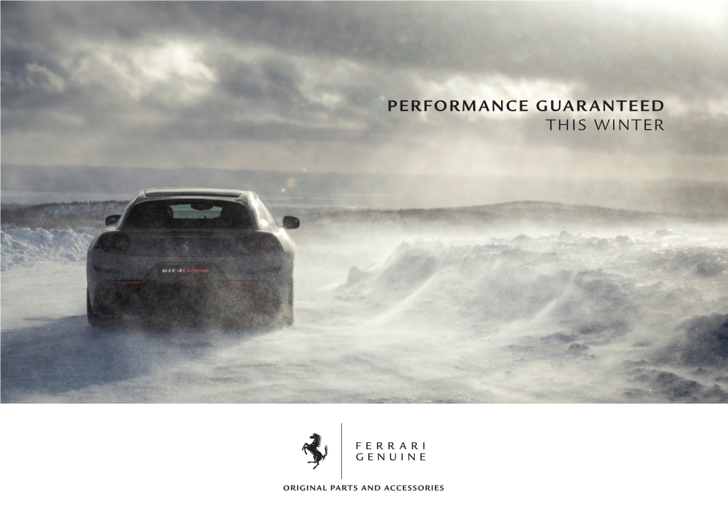 Performance Guaranteed This Winter