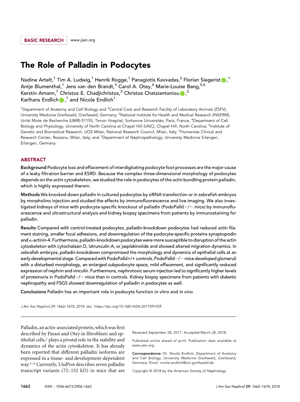 The Role of Palladin in Podocytes