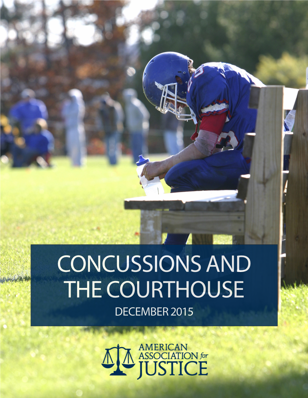 Concussions and the Courthouse