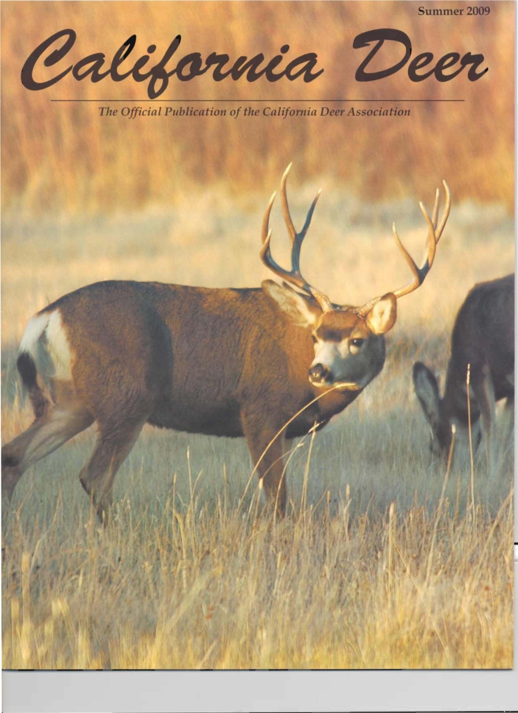 The Official Publicatioll of Tlte California Deer Association Photos by Jerry Springer Field of Dreallls 2009