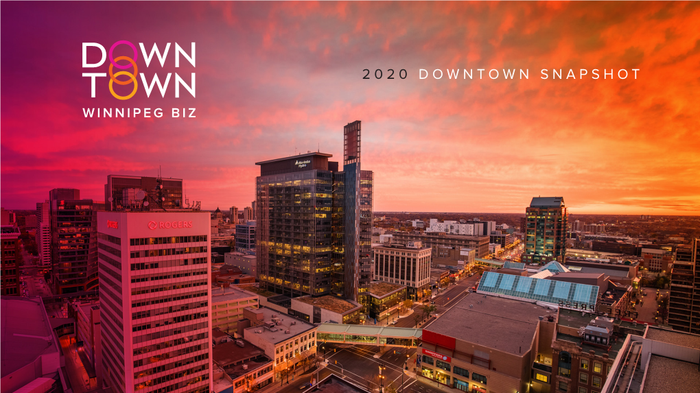 2020 Downtown Snapshot Our Misson