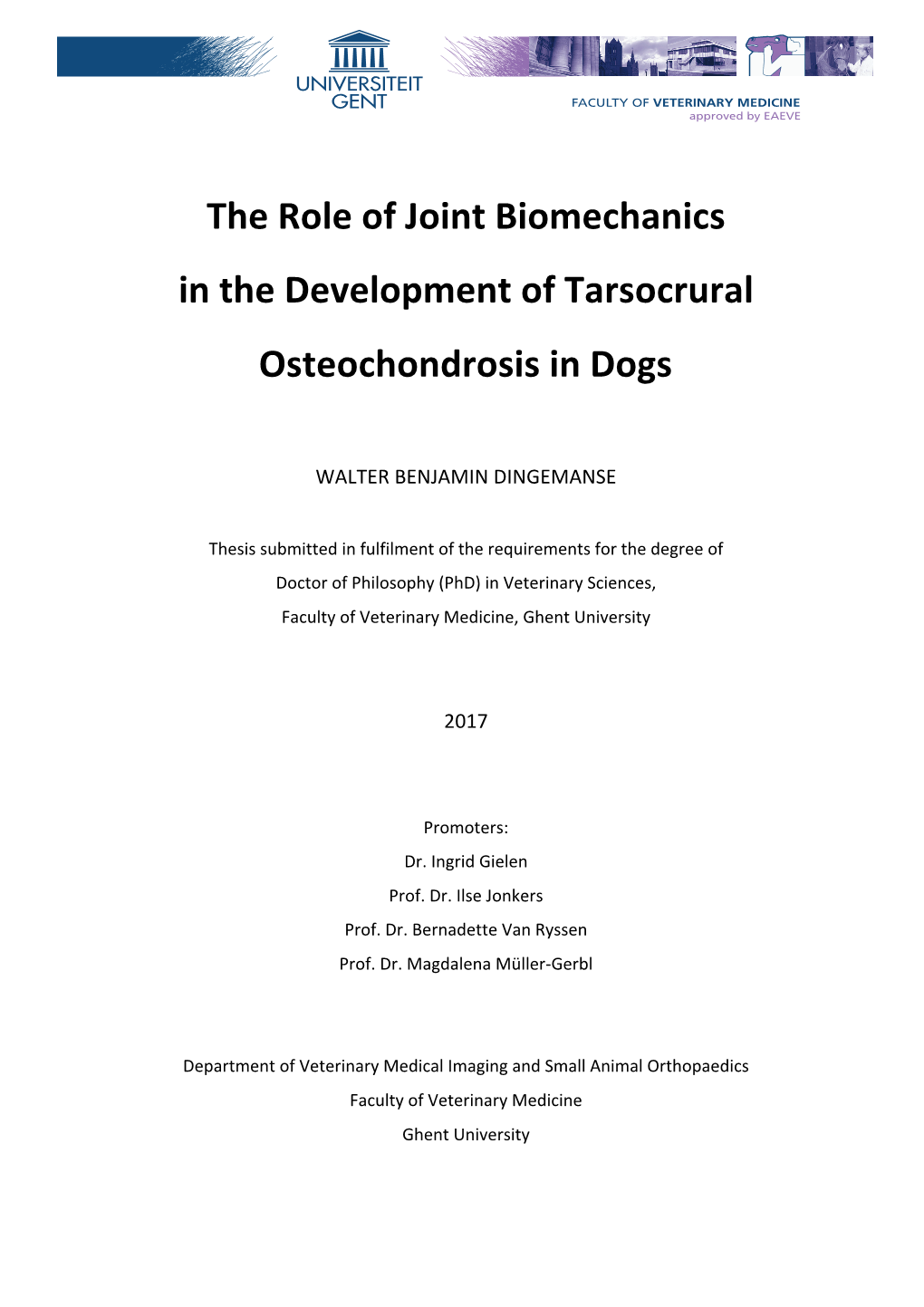 The Role of Joint Biomechanics in the Development of Tarsocrural Osteochondrosis in Dogs