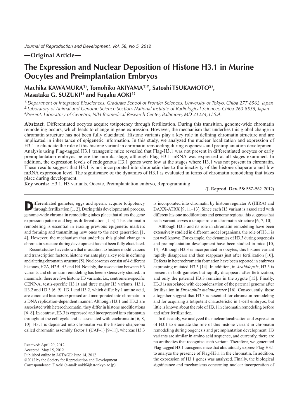 The Expression and Nuclear Deposition of Histone H3.1 In