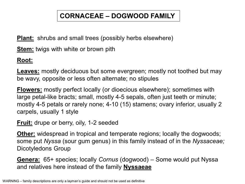 Cornaceae – Dogwood Family