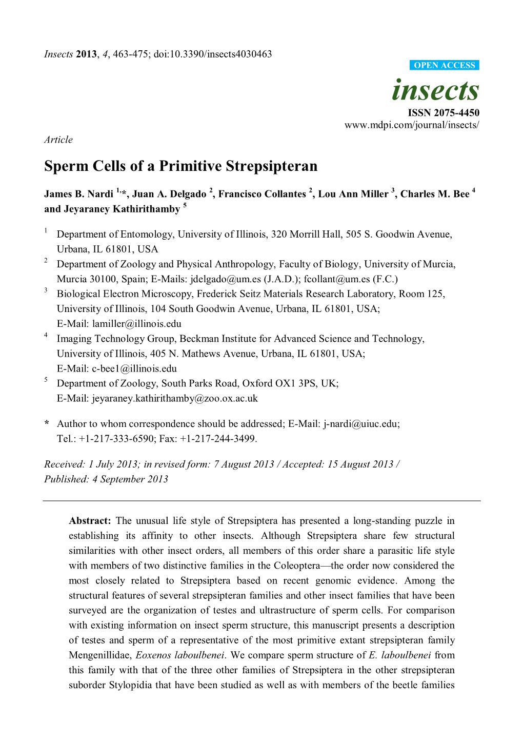 Sperm Cells of a Primitive Strepsipteran