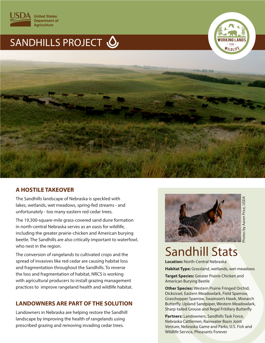 Sandhill Stats Spread of Invasives Like Red Cedar Are Causing Habitat Loss Location: North-Central Nebraska and Fragmentation Throughout the Sandhills